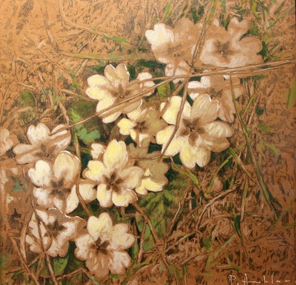 Pascal Amblard 15