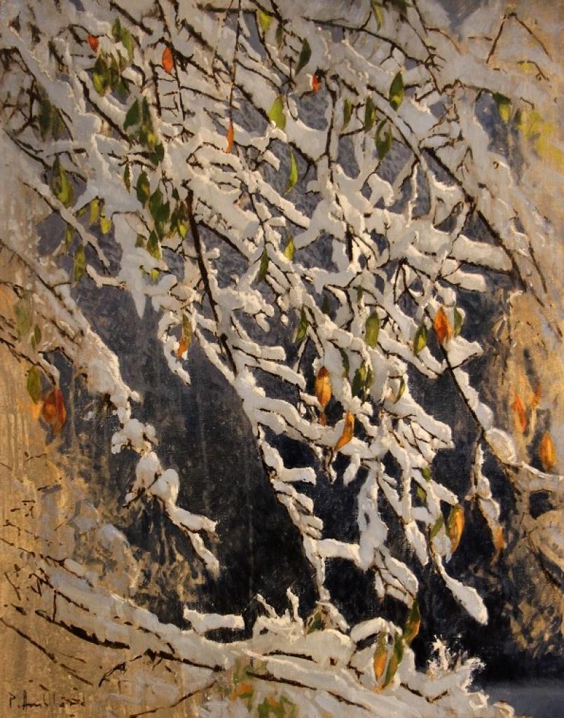 Pascal Amblard 15