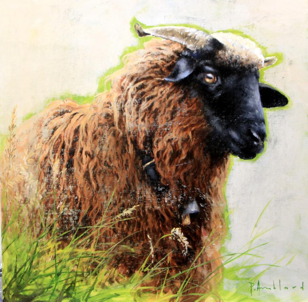 Pascal Amblard 15