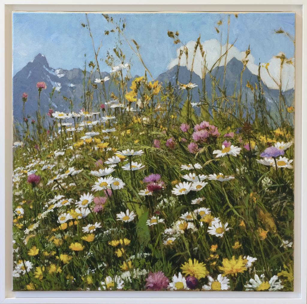 Pascal Amblard 15