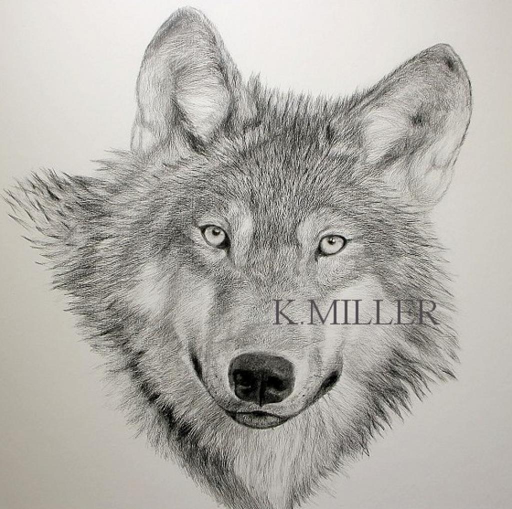 Katherine Miller 56