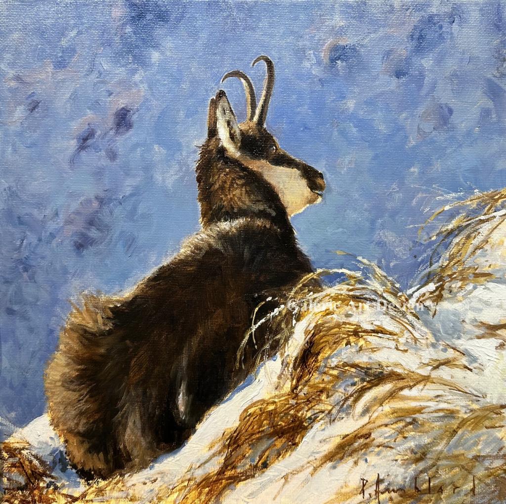 Pascal Amblard 15