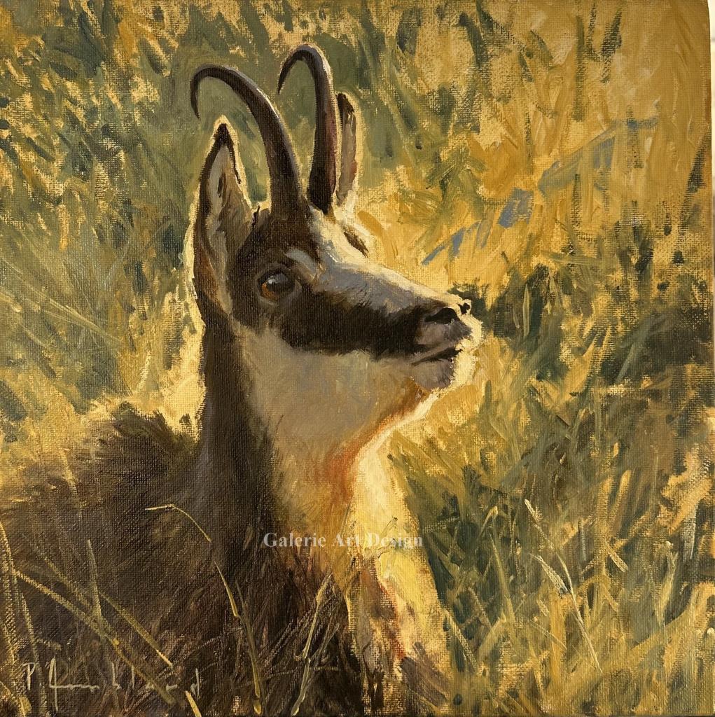 Pascal Amblard 15