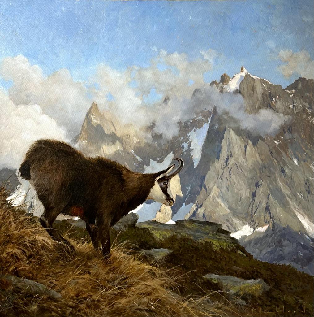Pascal Amblard 15