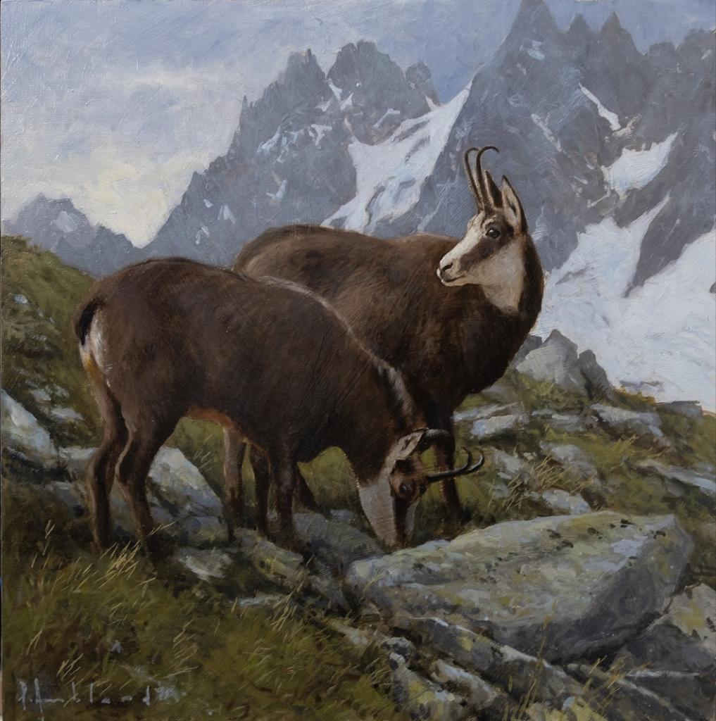 Pascal Amblard 15