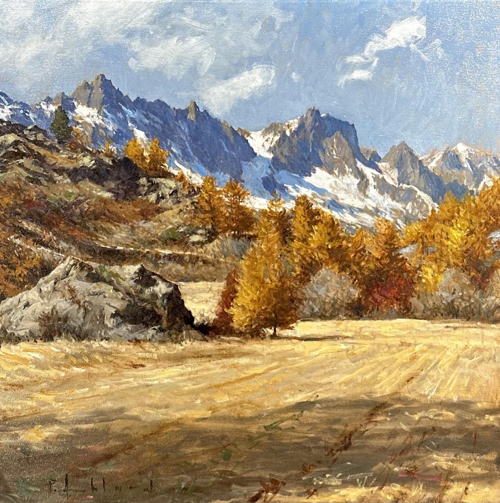 Pascal Amblard 15