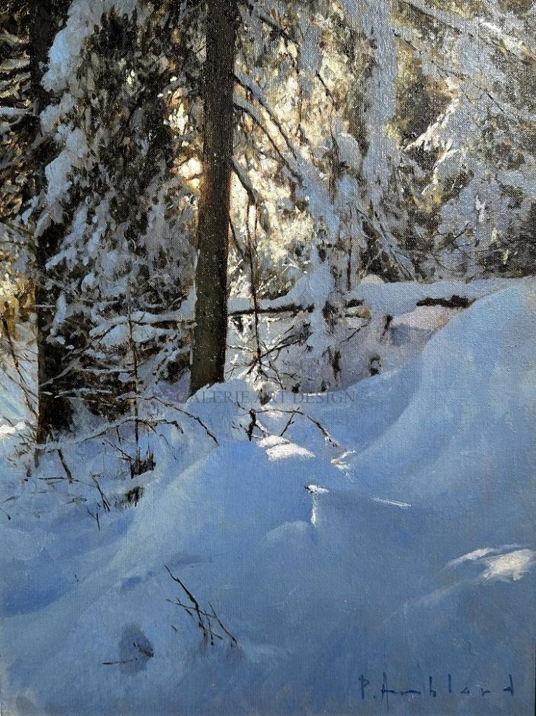 Pascal Amblard 15
